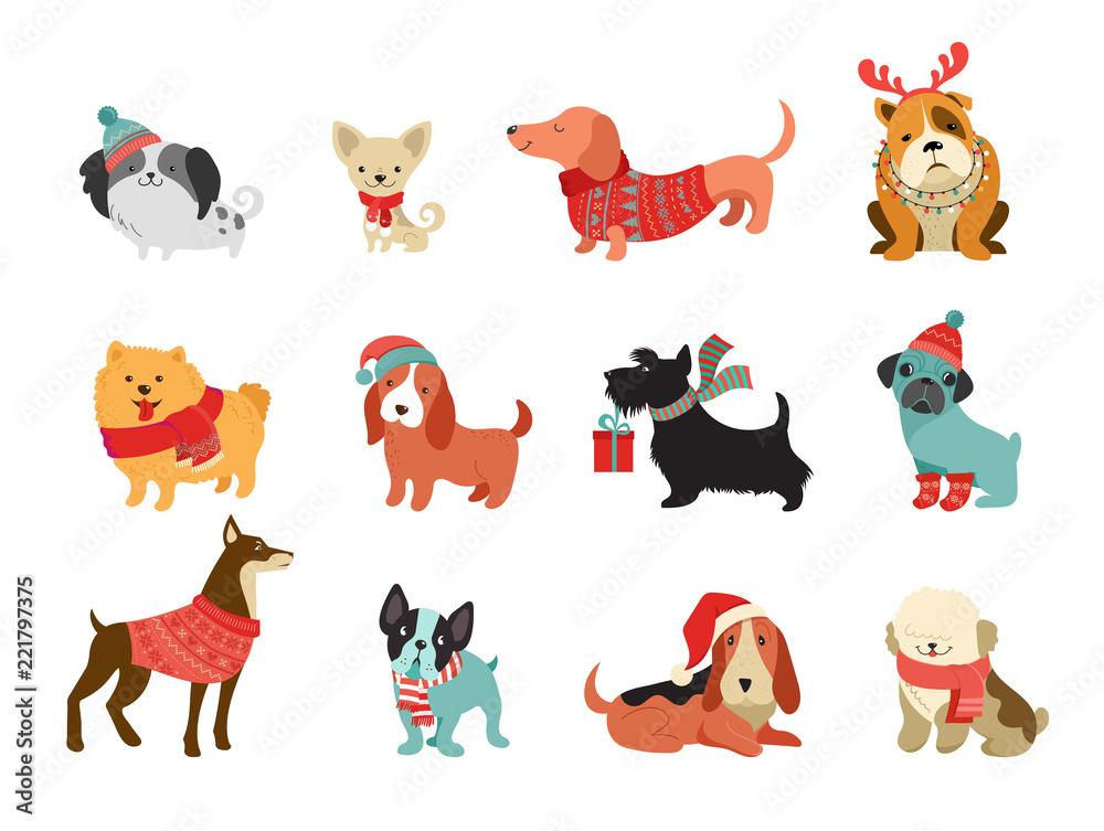 Collection of Christmas dogs, Merry Christmas illustrations of cute pets with accessories like a knited hats, sweaters, scarfs