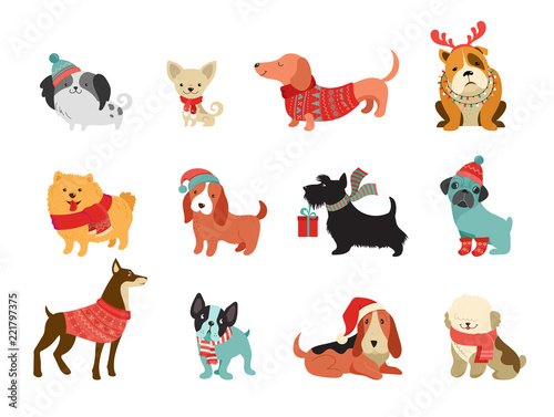 Fototapeta Naklejka Na Ścianę i Meble -  Collection of Christmas dogs, Merry Christmas illustrations of cute pets with accessories like a knited hats, sweaters, scarfs