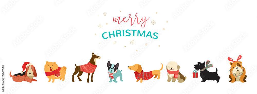 Collection of Christmas dogs, Merry Christmas illustrations of cute pets with accessories like a knited hats, sweaters, scarfs