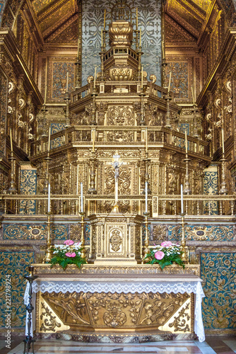 The art and nature of the Portugal