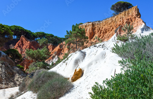 The art and nature of the Portugal photo