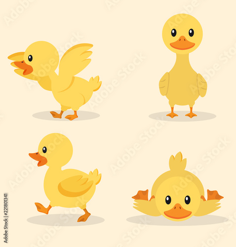 Cute yellow duck collection set