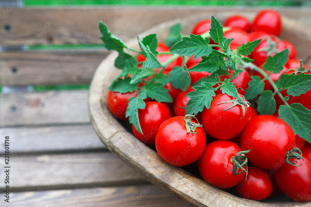 Fresh tomato crop in a wooden bowl
