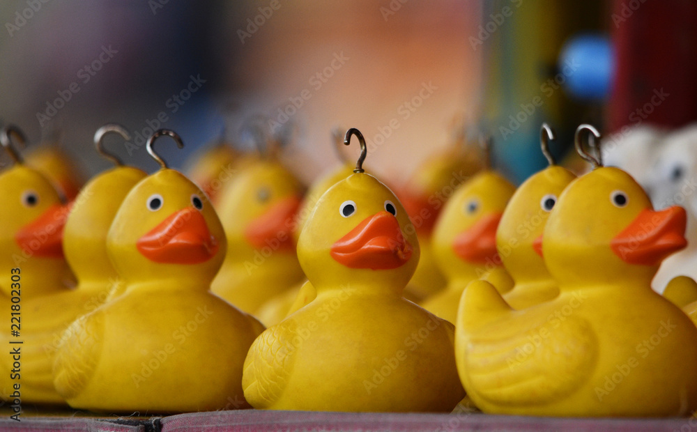 Hook a duck fair ground / carnival game Stock Photo Adobe Stock