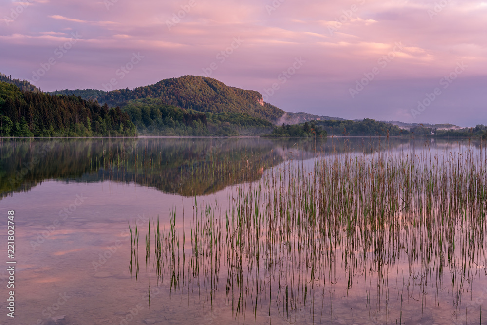 French landscape - Jura. View over the lake of Ilay in the Jura mountains (France) at sunrise with reeds in the foreground.