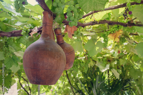 wine jugs photo