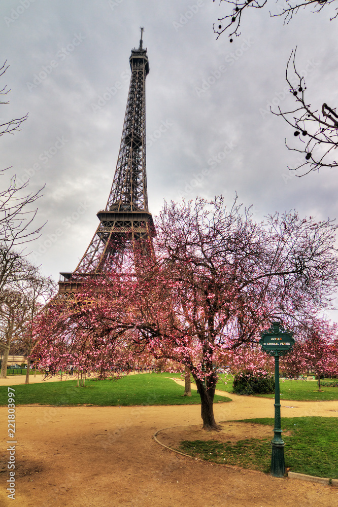 Beautiful pink blossom tree in front of the Eiffel tower on a cloudy winter day in Paris 