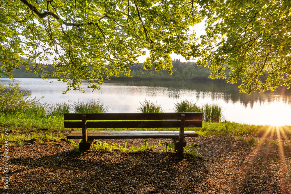 French landscape - Jura. Trees and park bench on the shore of the lake Bonlieu in the Jura mountains (France) at sunset.