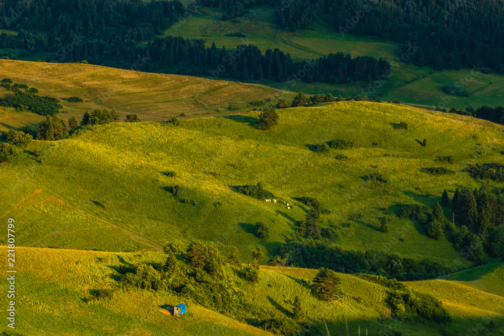 meadow in Slovak mountains at sunset