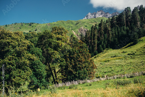 summer mountain meadows of Georgia