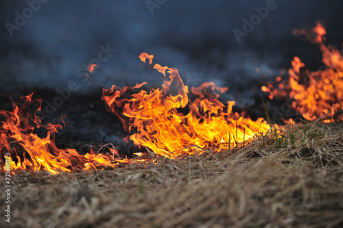Billede på lærred burning grass in the field