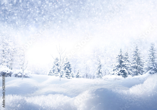 Winter Christmas scenic background with copy space. Snow landscape with fir-trees covered with snow, snowdrifts and snowfall against the sky on nature outdoors, copy space, toned blue. © Laura Pashkevich