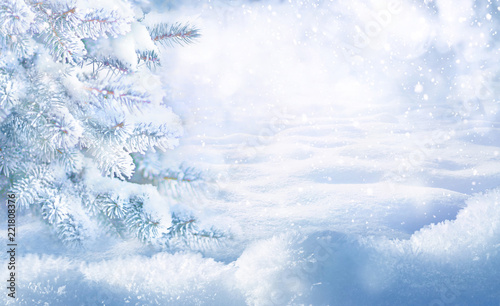 Winter Christmas scenic background with copy space. Snow landscape with fir-trees covered with snow close-up, snowdrifts and snowfall against the sky on nature outdoors, copy space, toned blue.