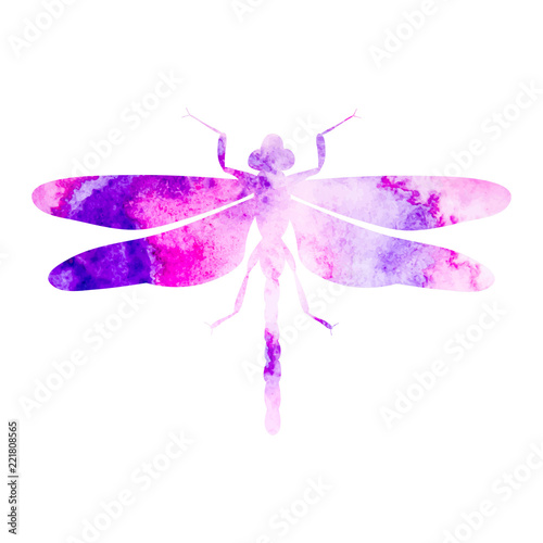 dragonfly watercolor silhouette