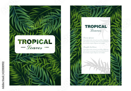 Tropic leaves card Vector realistic. detailed 3d exotic palm leaf