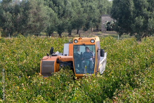 grape harvester machine