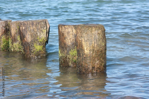 Dalben in der Ostsee photo