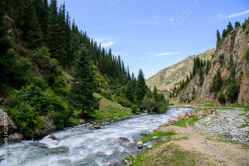 Fast mountain river surrounded by forest