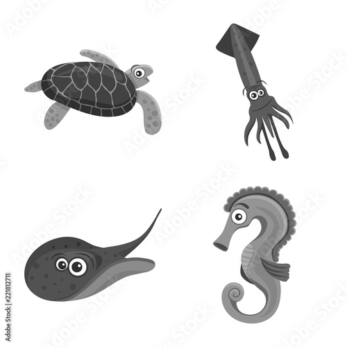 Vector illustration of sea and animal symbol. Set of sea and marine stock vector illustration.