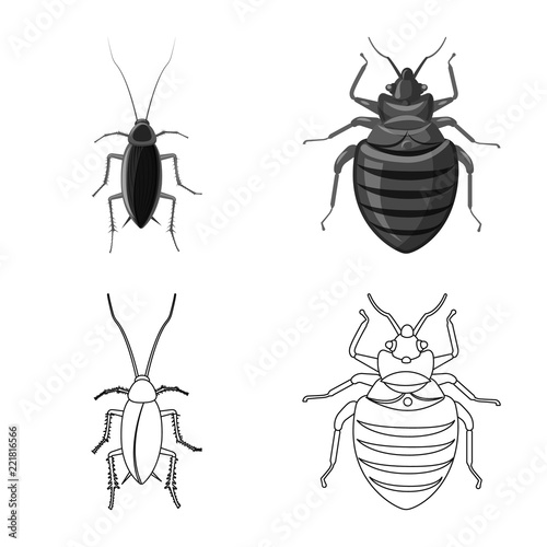 Vector design of insect and fly symbol. Collection of insect and element stock symbol for web.