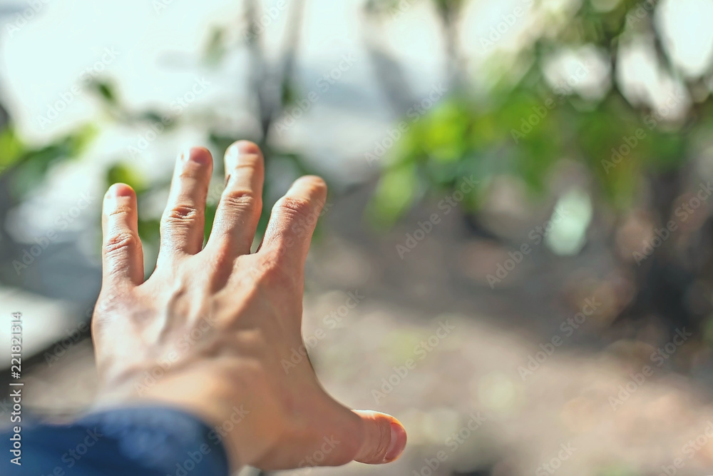Women's hand in the sunlight, conceptual images. The idea of nature and life
