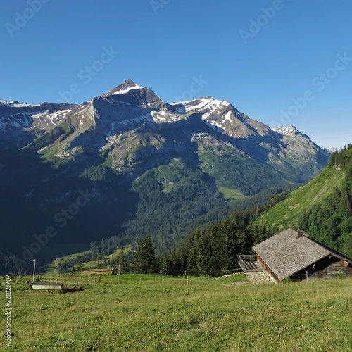 Mount Oldenhorn in summer. Bernese Oberland, Switzerland. 