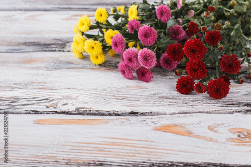 Dahlias flowers of different color. White wooden table background. photo