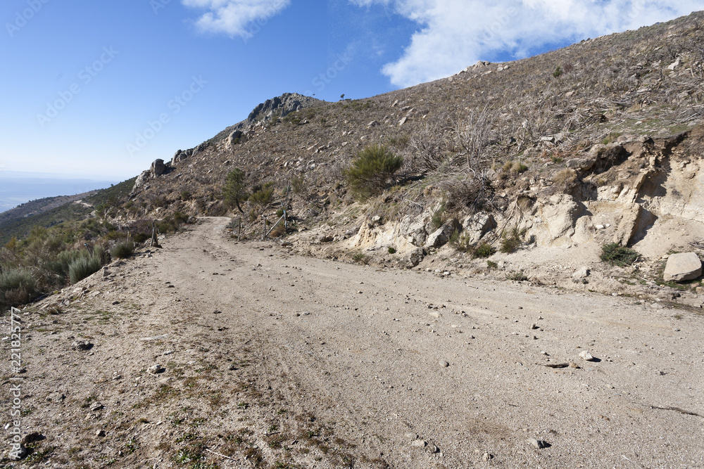 Camino forestal en Sierra Aguda. Avila