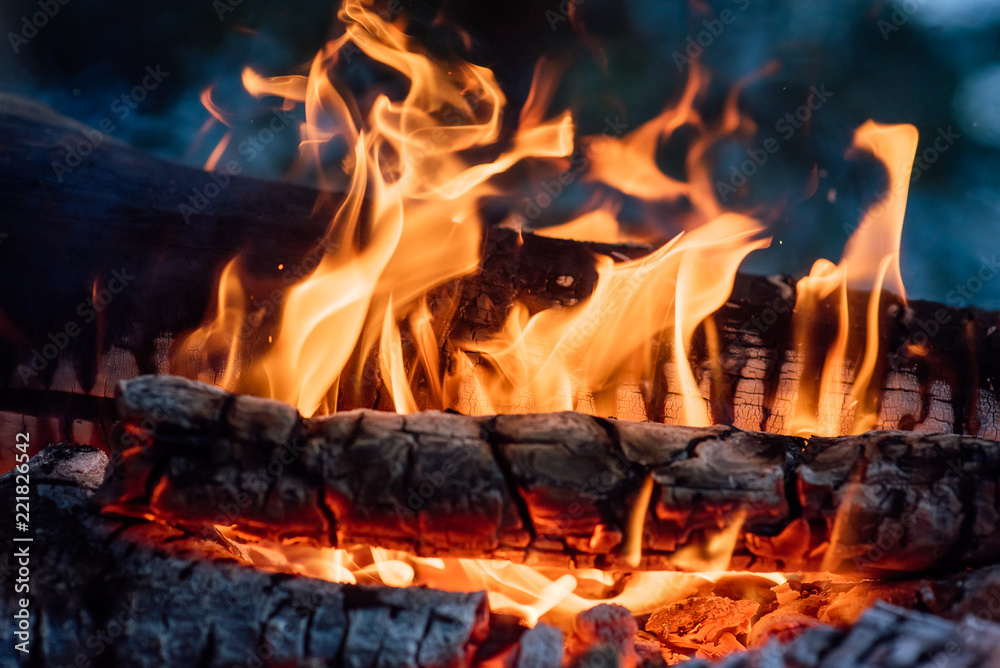 Flame burns in the fire. Fire in the grill with smoke. Arson or natural disaster. The fire is close. Fire in nature. Background bonfire Flame burns in the fire. Fire in the grill with smoke. Arson or natural disaster. The fire is close. Fire in nature. Background bonfire