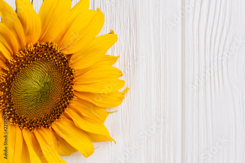 Yellow sunflower on wood close up. White wooden table background.