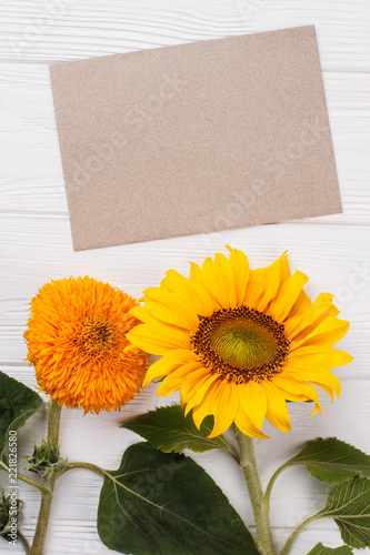 Fototapeta Naklejka Na Ścianę i Meble -  Unripe sunflowers and blank paper. Copysoace, free space for text. White wood background.