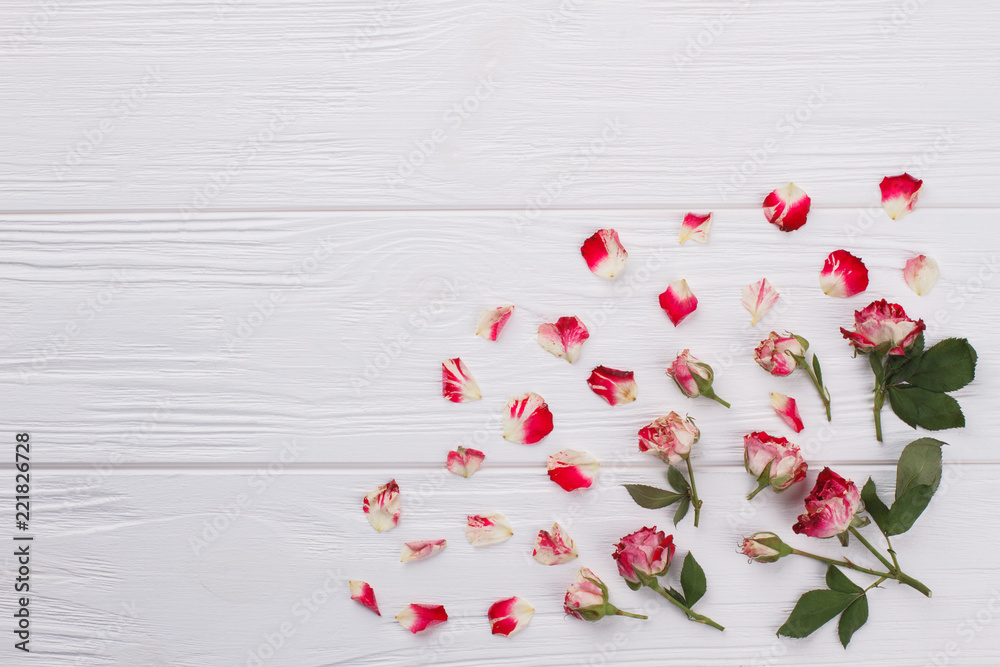Dry rose flowers and petals. White wooden table background. Dry rose flowers and petals. White wooden table background.