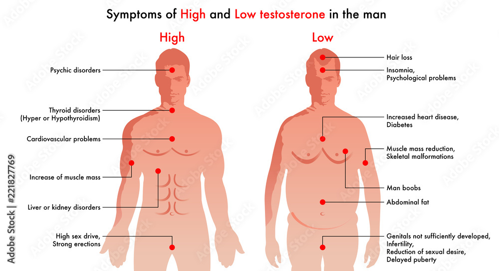 Testosteron dick