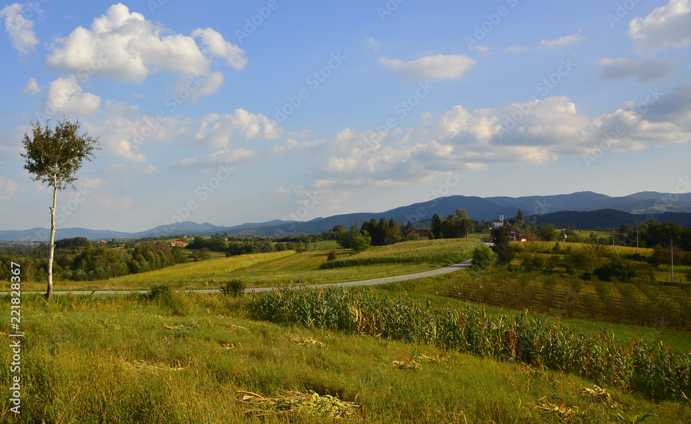 green fields near the mountain
