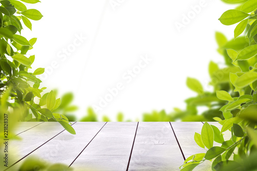 wooden table top with spring green leafs as frame
