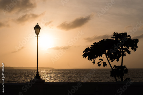 Silhouette of a tree and a lamp on a wall at sunset in Sao Luis do Maranhao.