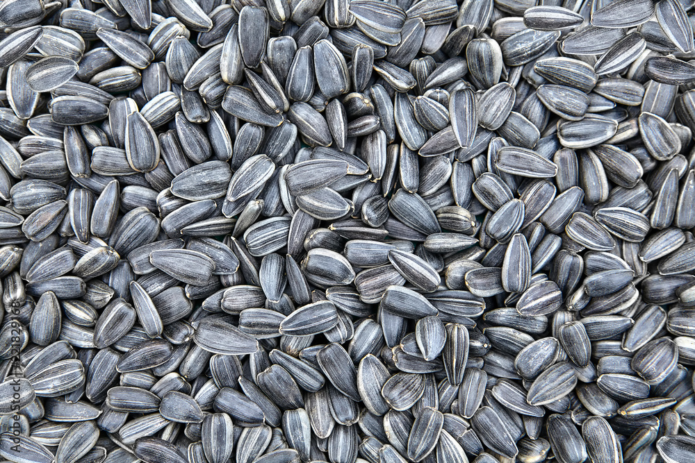 Heap of fried sunflower seeds, texture for background. Heap of fried sunflower seeds, texture for background.