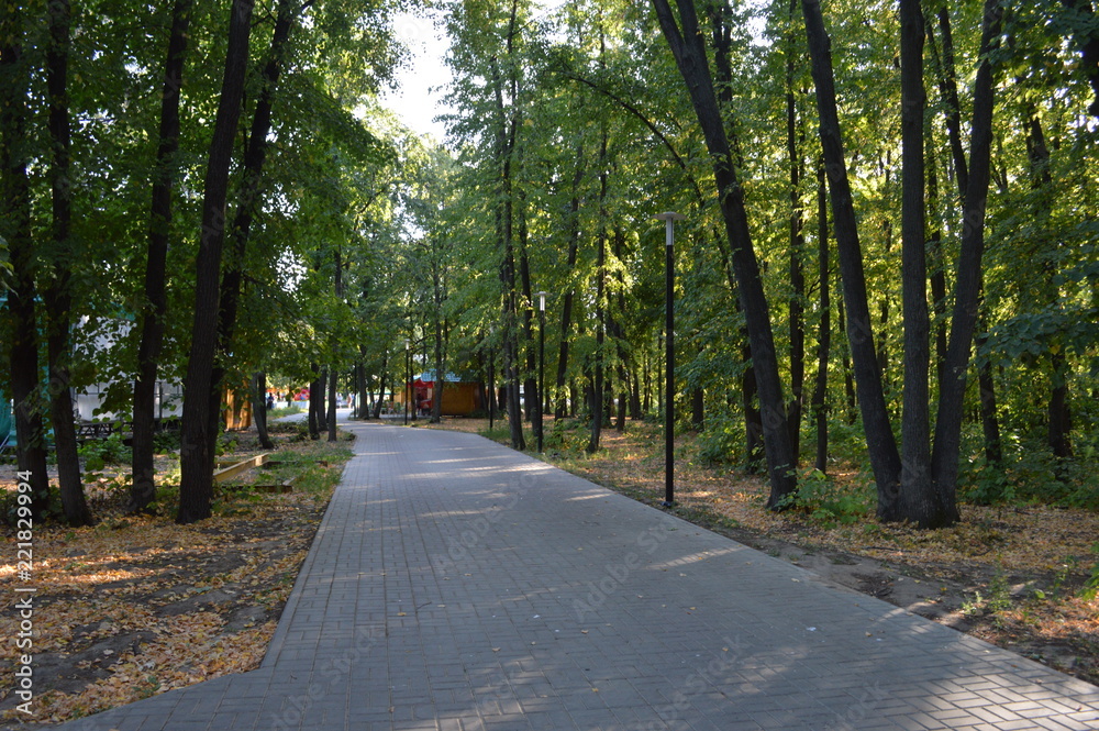 вечерняя прогулка в парке вечерняя прогулка в парке