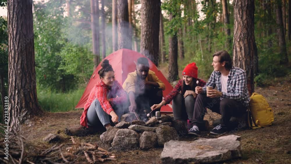 Multiracial group of young male and female travelers is cooking food roasting marshmallow on fire sitting in forest and smiling. Hiking, healthy lifestyle and youth concept. Multiracial group of young male and female travelers is cooking food roasting marshmallow on fire sitting in forest and smiling. Hiking, healthy lifestyle and youth concept.