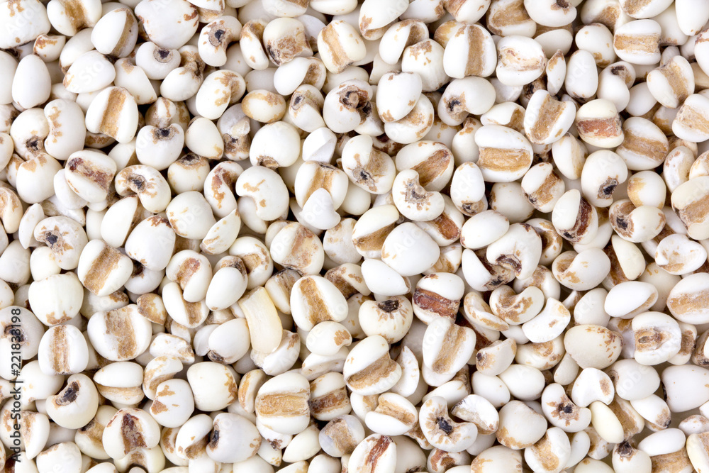 Millet grain on a background close up Millet grain on a background close up