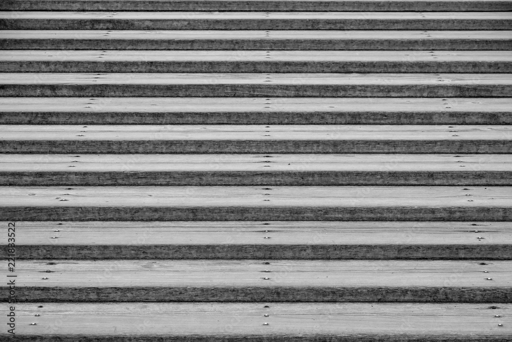 black and white style, Staircase through the woods in the station black and white style, Staircase through the woods in the station