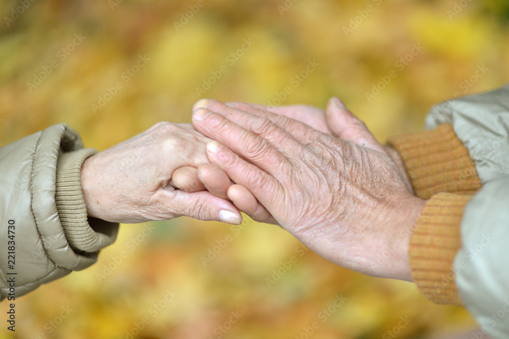 elderly couple holding hands in beautiful park elderly couple holding hands in beautiful park