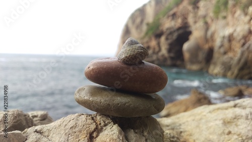Escargot de mer sur un pierre au bord de la mer 