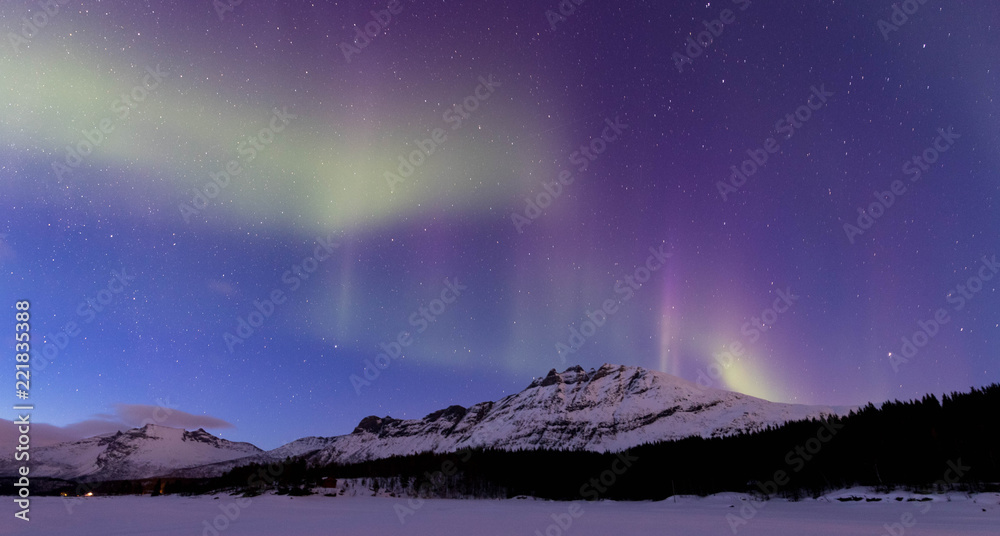 Naklejka premium Nothern lights in Lofoten islands
