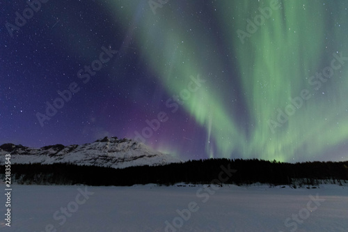 Nothern lights in Lofoten islands