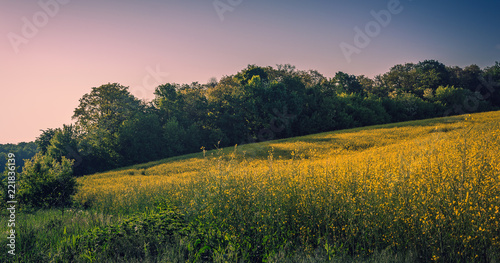 Summer moring among fields © ghostdom