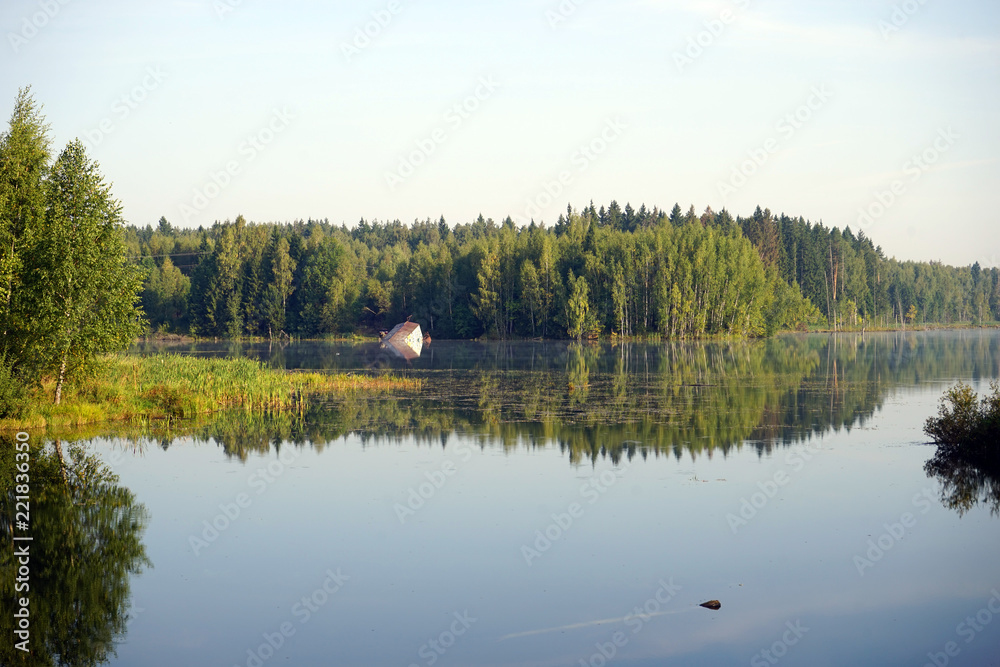 Lake and forest