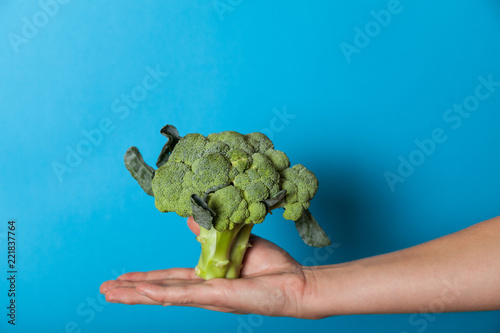 Fresh broccoli diet food, antioxidant vegetable.