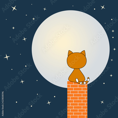 Cute cat is sitting on the chimney and looks at the moon.