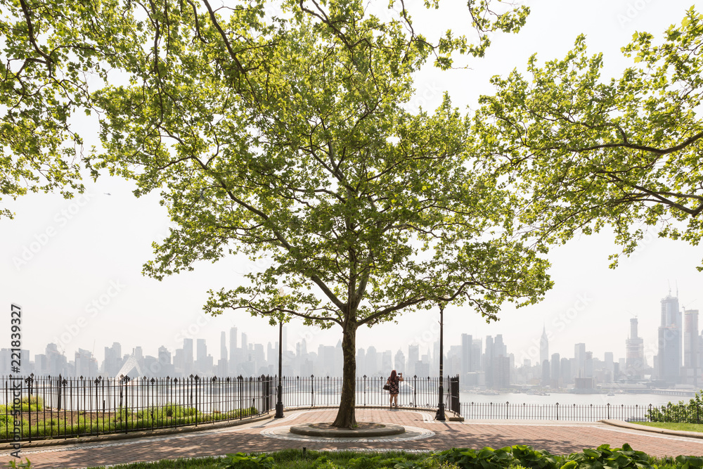 Naklejka premium New York City midtown Manhattan skyline panorama view from Boulevard East Hamilton Park over Hudson River. Big tree in Hamilton Park promenade.